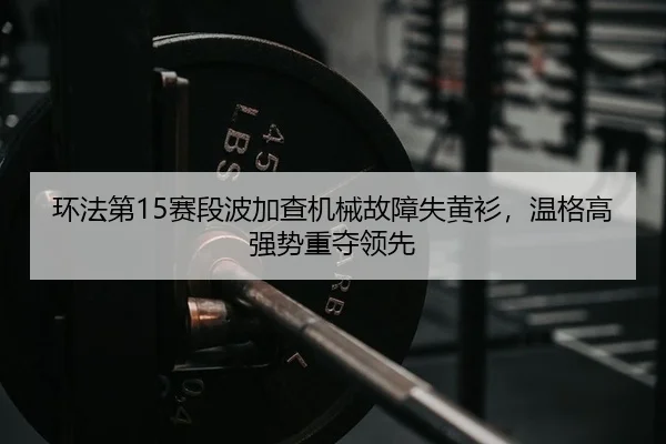 huan-fa-di-sai-duan-bo-jia-cha-ji-xie-gu-zhang-shi-huang-shan-wen-ge-gao-qiang-shi-zhong-duo-ling-xian-2-672.jpg